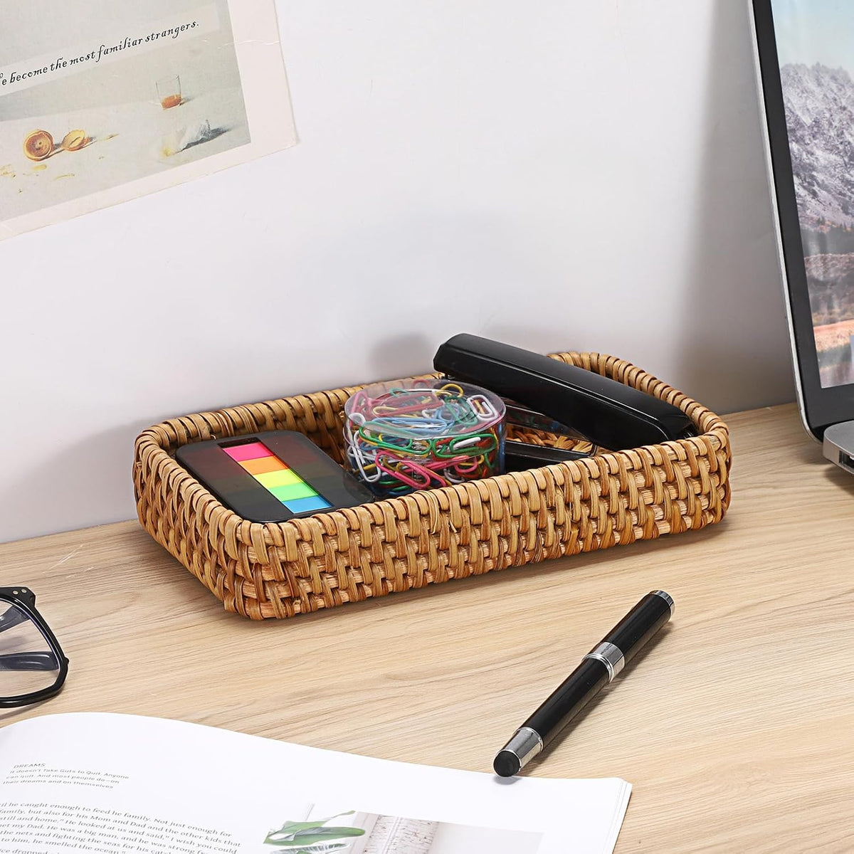 Storage Baskets